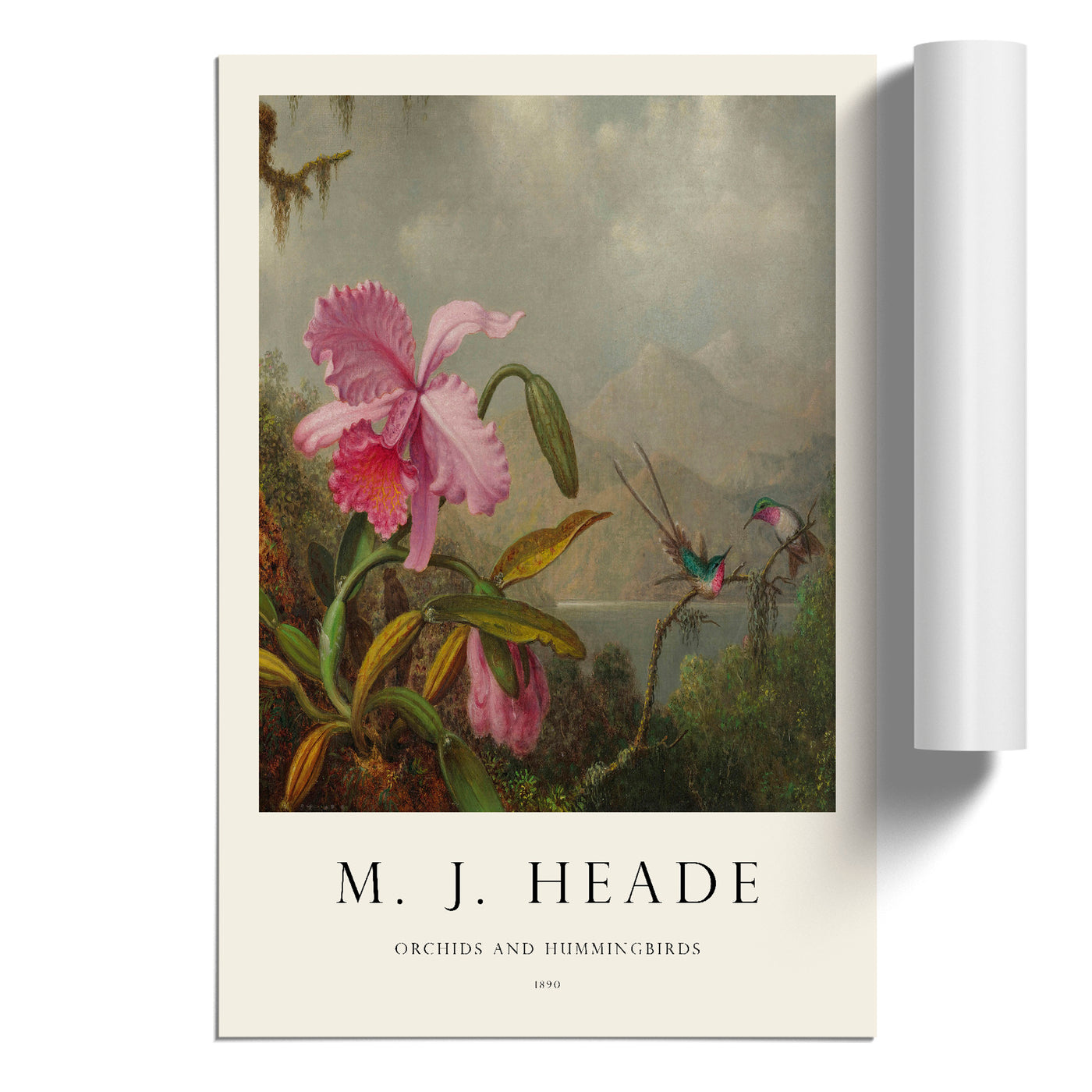 Orchid With Hummingbirds Vol.1 Print By Martin Johnson Heade