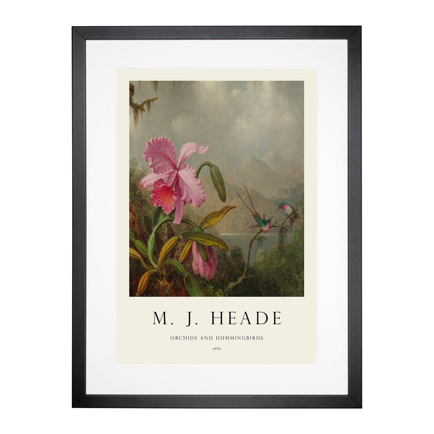 Orchid With Hummingbirds Vol.1 Print By Martin Johnson Heade Framed Print Main Image