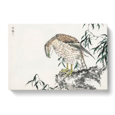 Osprey By Numata Kashu Canvas Print Main Image