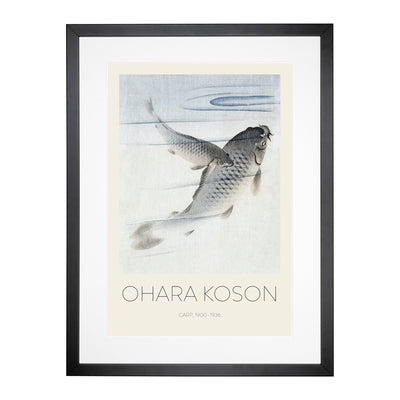 Pair Of Carps Print By Ohara Koson Framed Print Main Image