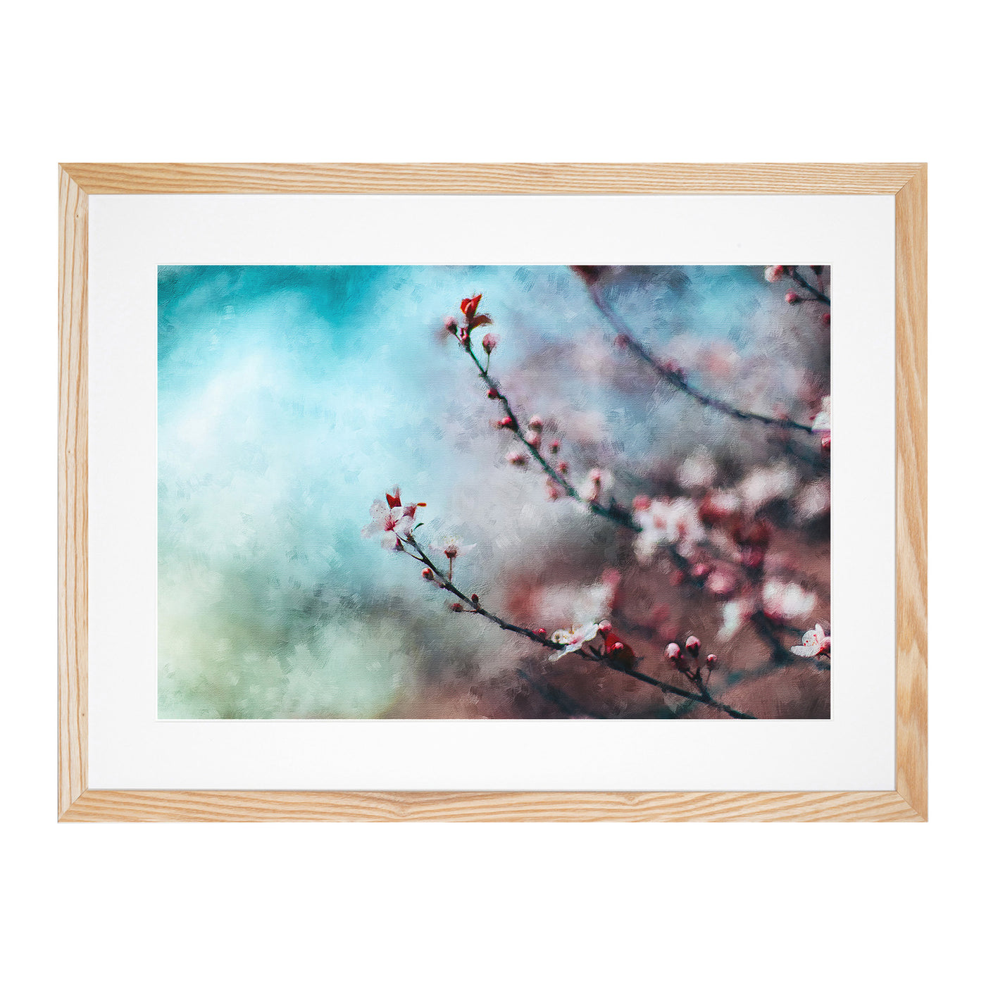 Pale Pink Cherry Blossom Tree