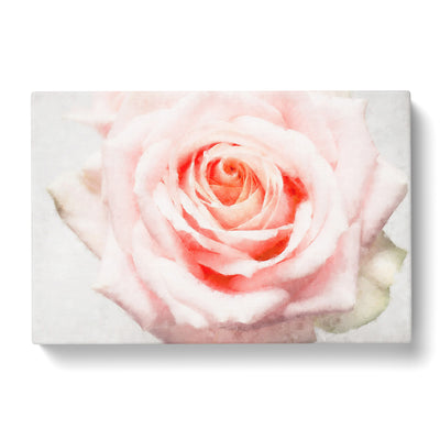 Pale Pink Rose Painting Canvas Print Main Image