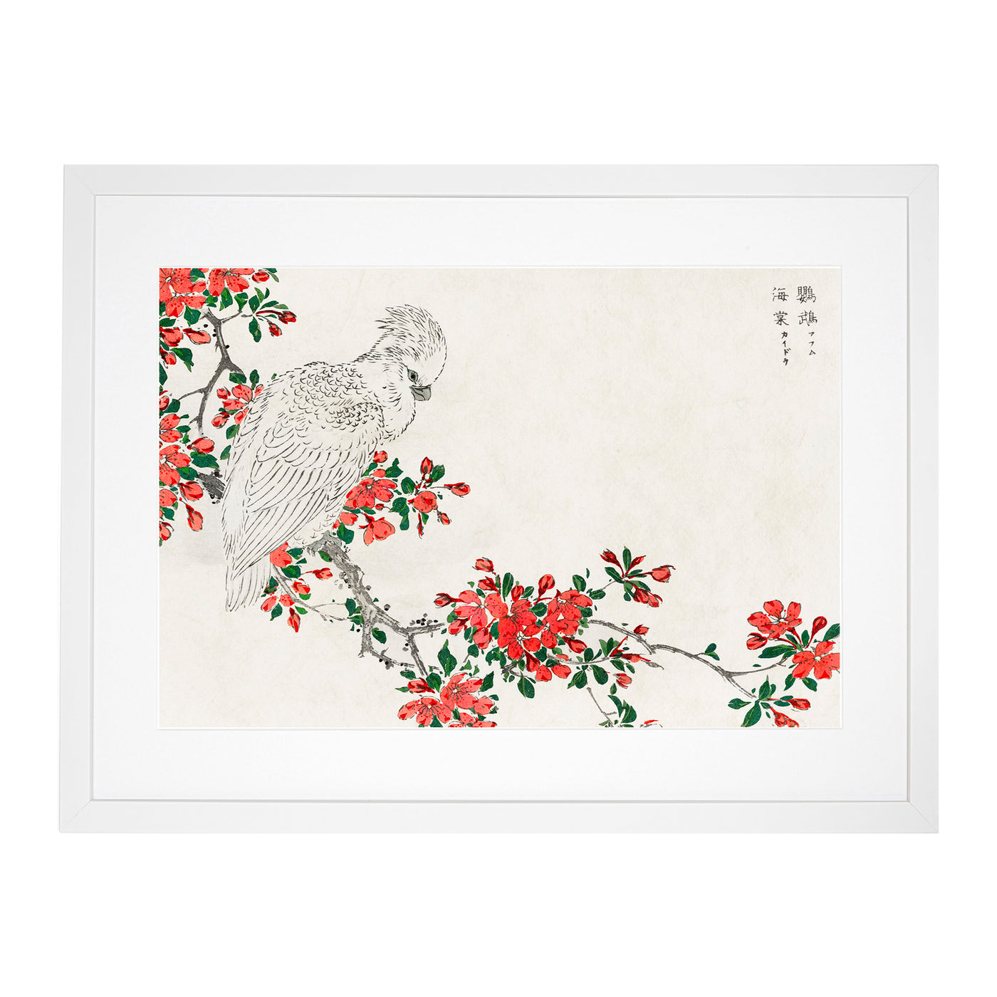 Parrot Upon A Blooming Tree Branch By Numata Kashu