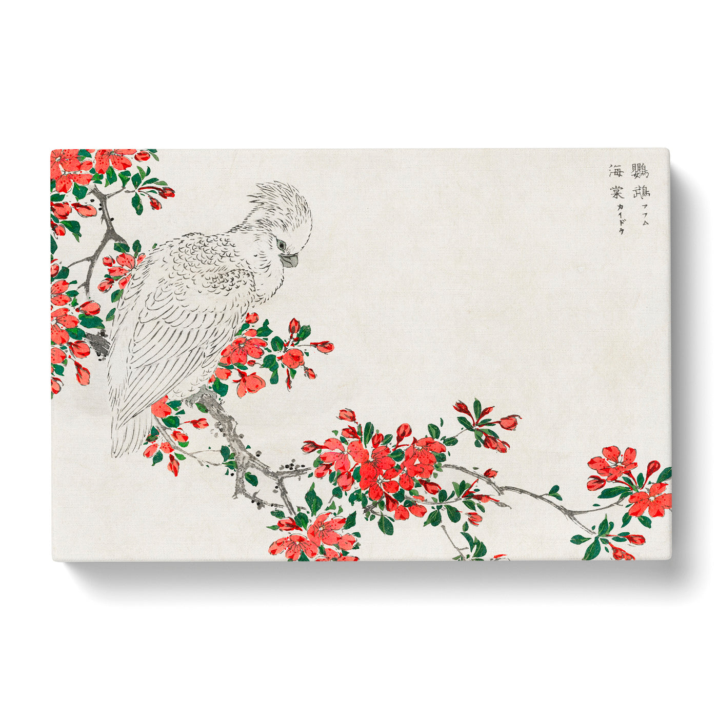 Parrot Upon A Blooming Tree Branch By Numata Kashu Canvas Print Main Image