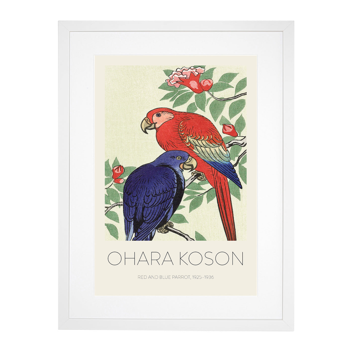 Parrots Print By Ohara Koson