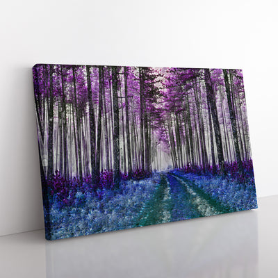 Path Through A Purple Forest