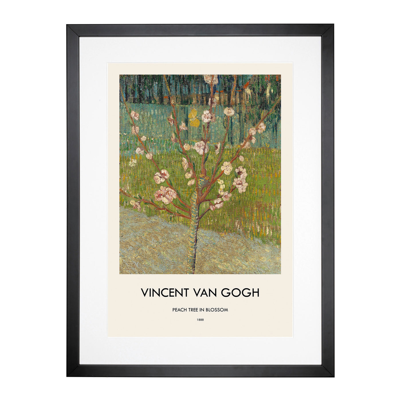 Peach Tree In Blossom Print By Vincent Van Gogh Framed Print Main Image