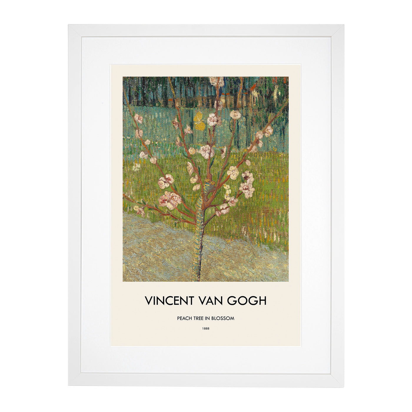 Peach Tree In Blossom Print By Vincent Van Gogh