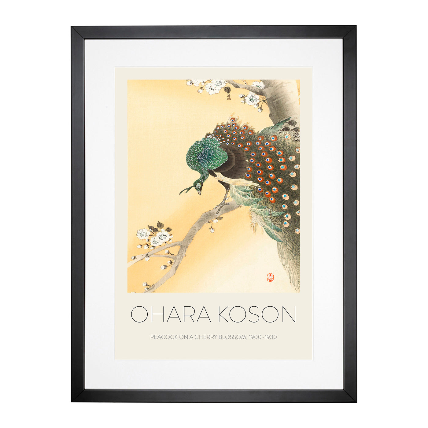 Peacock On A Cherry Blossom Tree Print By Ohara Koson Framed Print Main Image