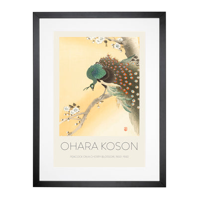 Peacock On A Cherry Blossom Tree Print By Ohara Koson Framed Print Main Image