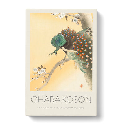 Peacock On A Cherry Blossom Tree Print By Ohara Koson Canvas Print Main Image