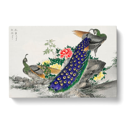 Peacokcs & Peony Flower By Numata Kashu Canvas Print Main Image