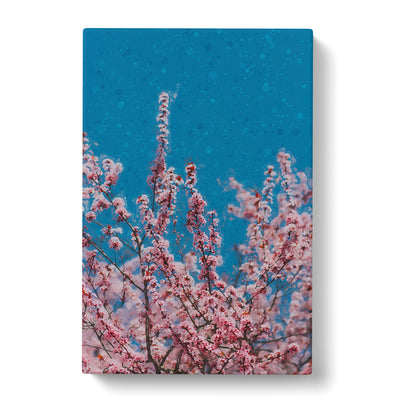 Petals Of Pink Cherry Blossom Tree Canvas Print Main Image