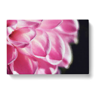 Petals Of A Pink Dhalia Canvas Print Main Image