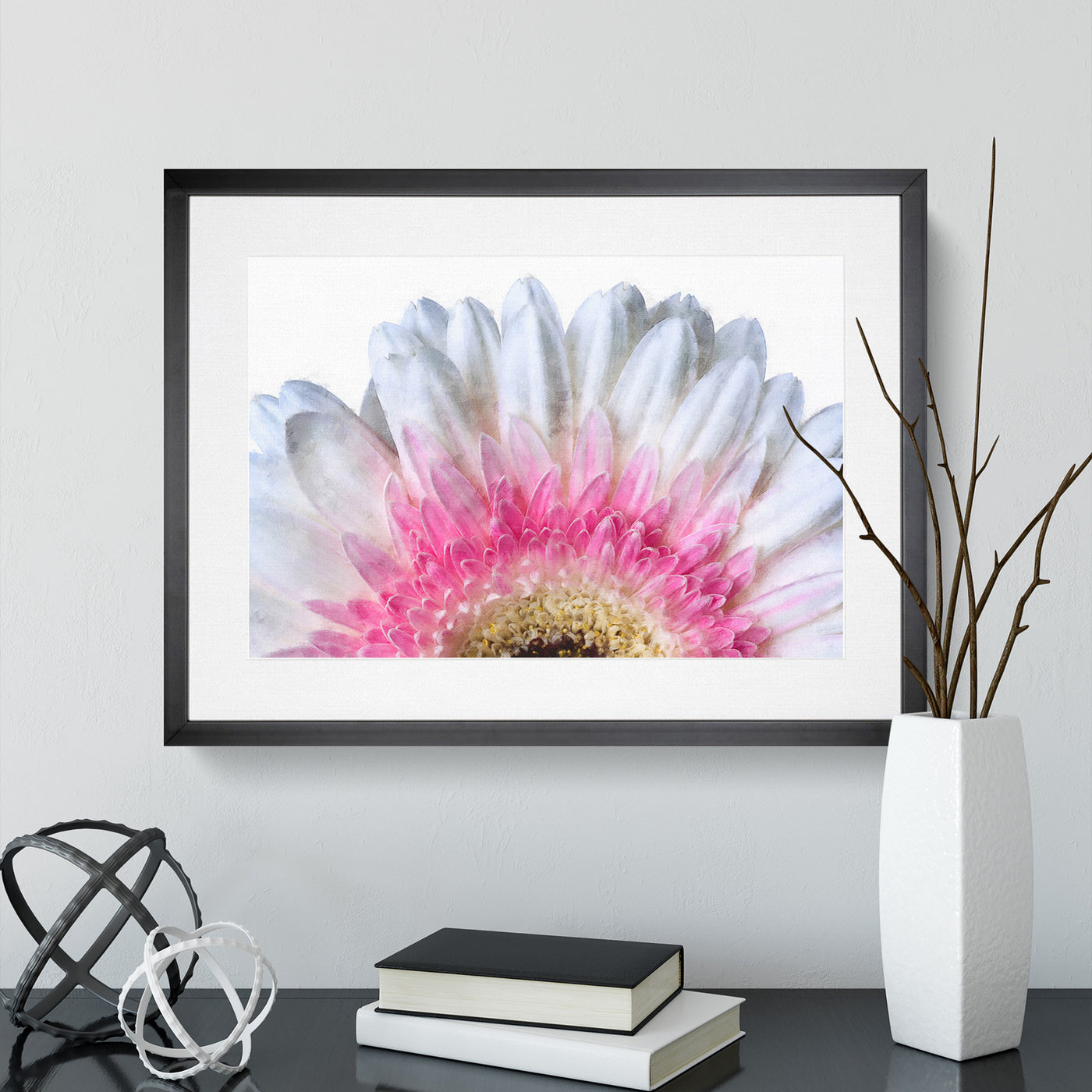 Petals Of A Pink & White Gerbera