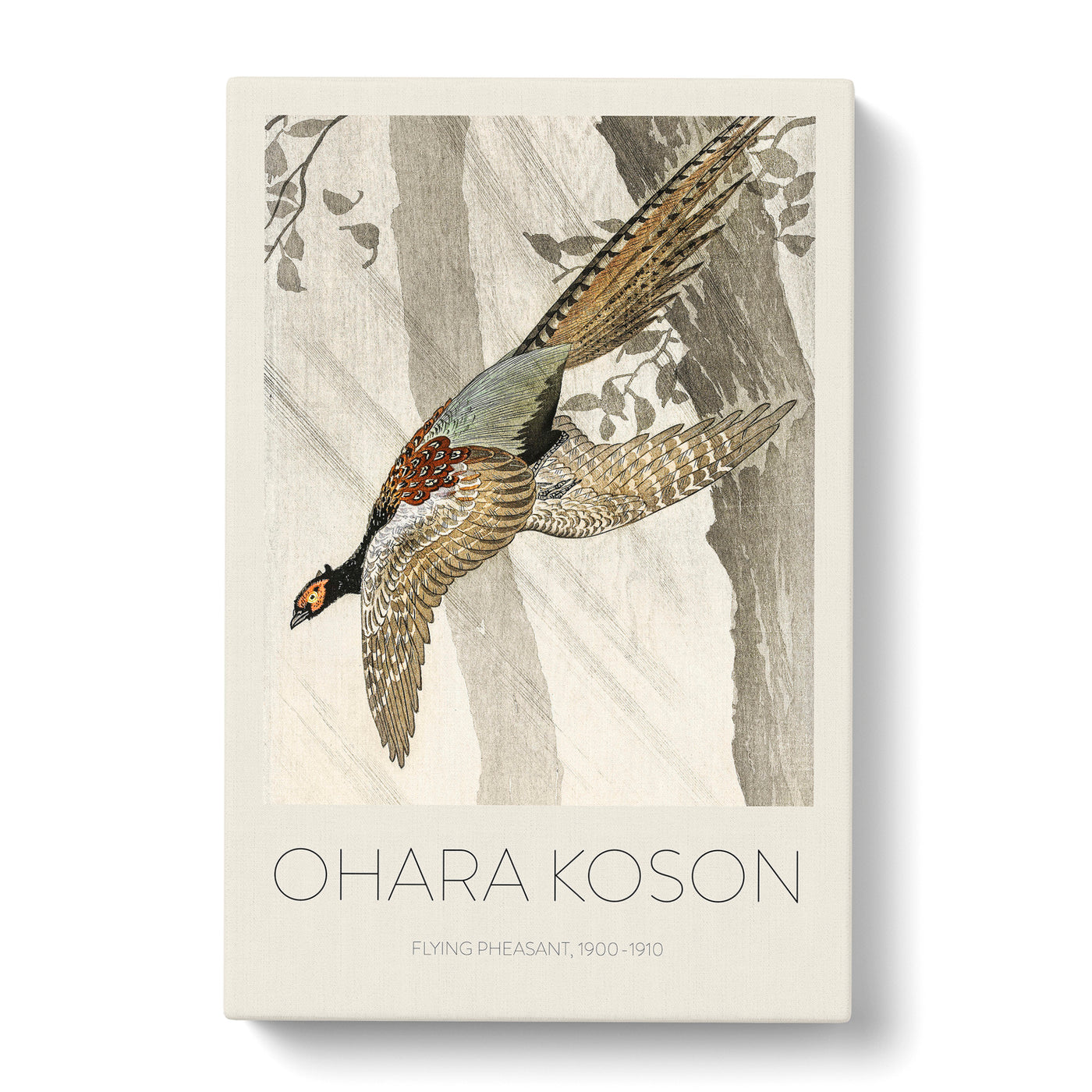 Pheasant In Flight Print By Ohara Koson Canvas Print Main Image