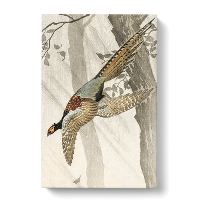 Pheasant In Flight By Ohara Kosoncan Canvas Print Main Image