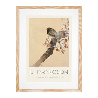 Pheasant On A Cherry Blossom Tree Print By Ohara Koson