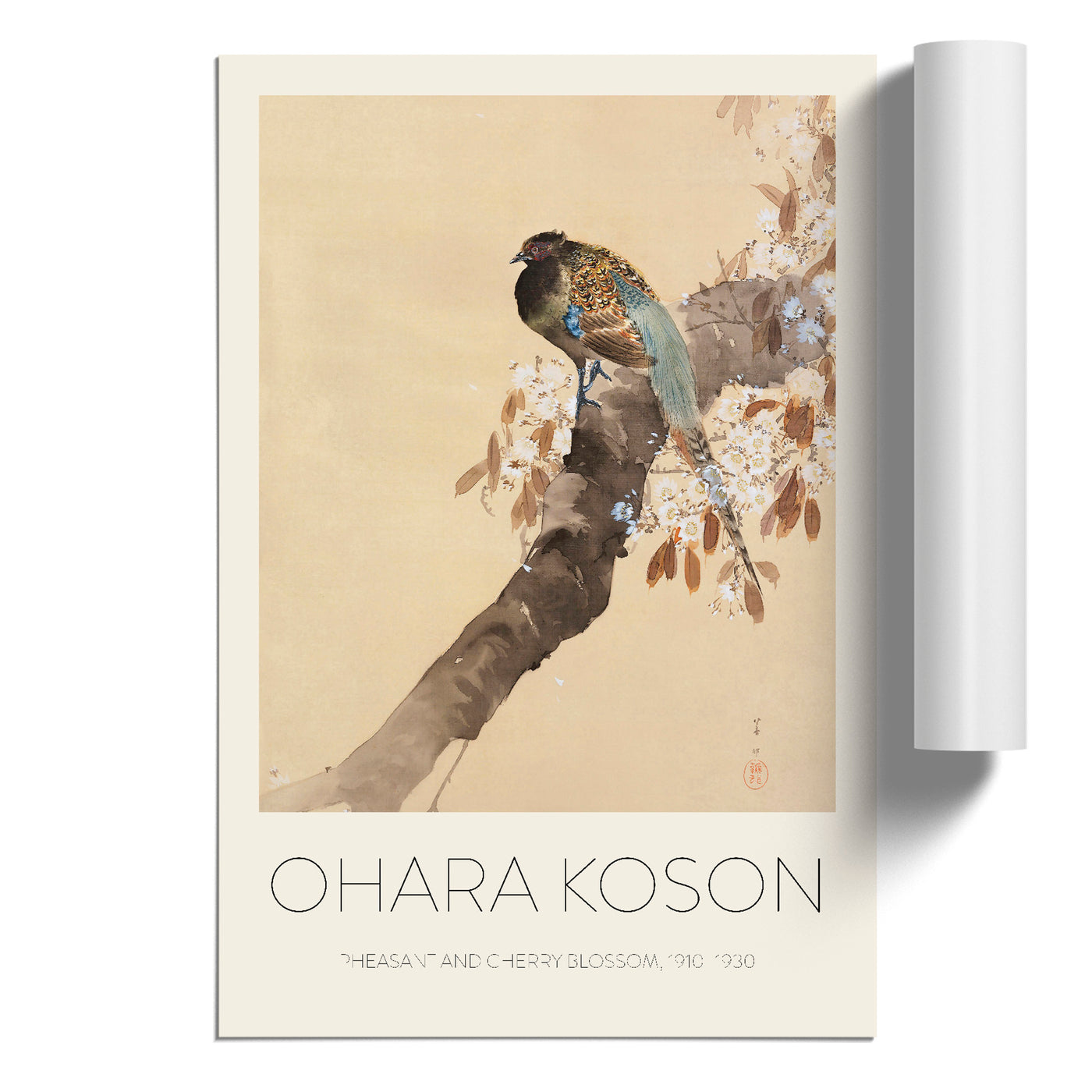 Pheasant On A Cherry Blossom Tree Print By Ohara Koson