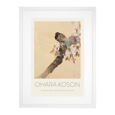 Pheasant On A Cherry Blossom Tree Print By Ohara Koson