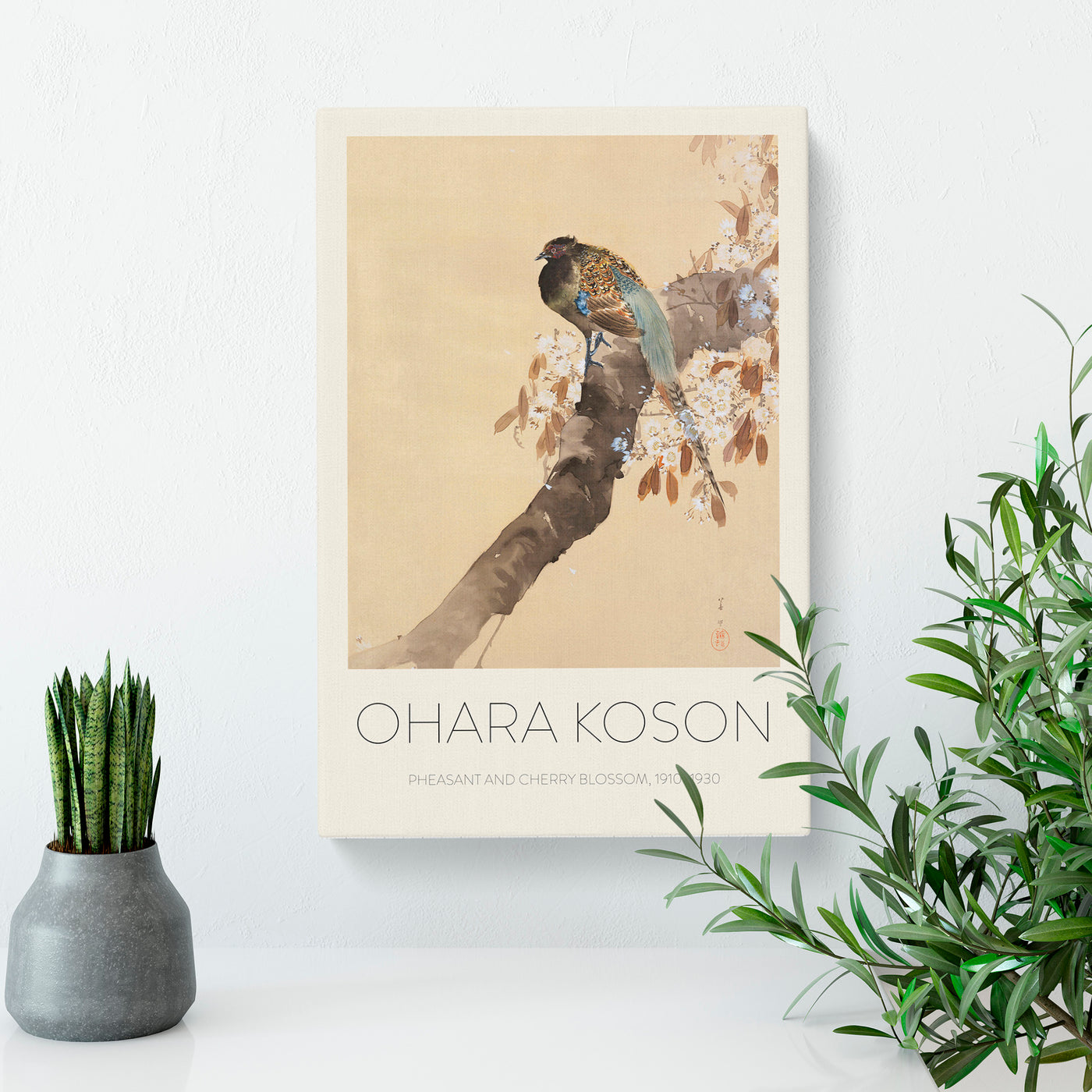 Pheasant On A Cherry Blossom Tree Print By Ohara Koson