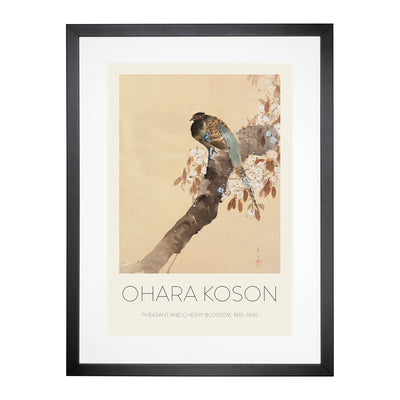 Pheasant On A Cherry Blossom Tree Print By Ohara Koson Framed Print Main Image