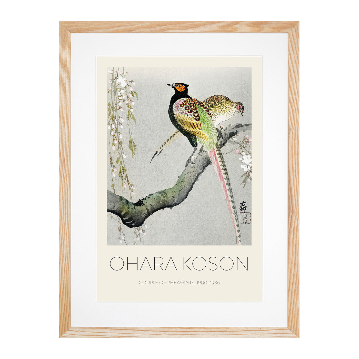 Pheasants & Cherry Blossom Print By Ohara Koson