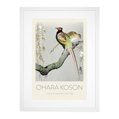 Pheasants & Cherry Blossom Print By Ohara Koson