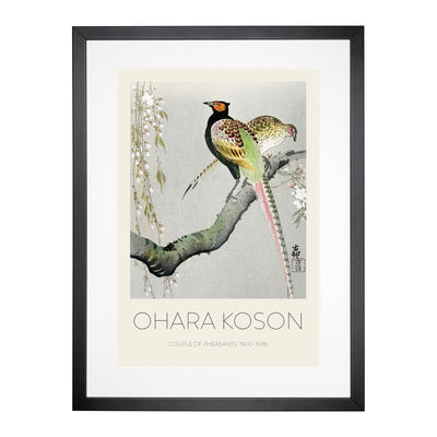 Pheasants & Cherry Blossom Print By Ohara Koson Framed Print Main Image