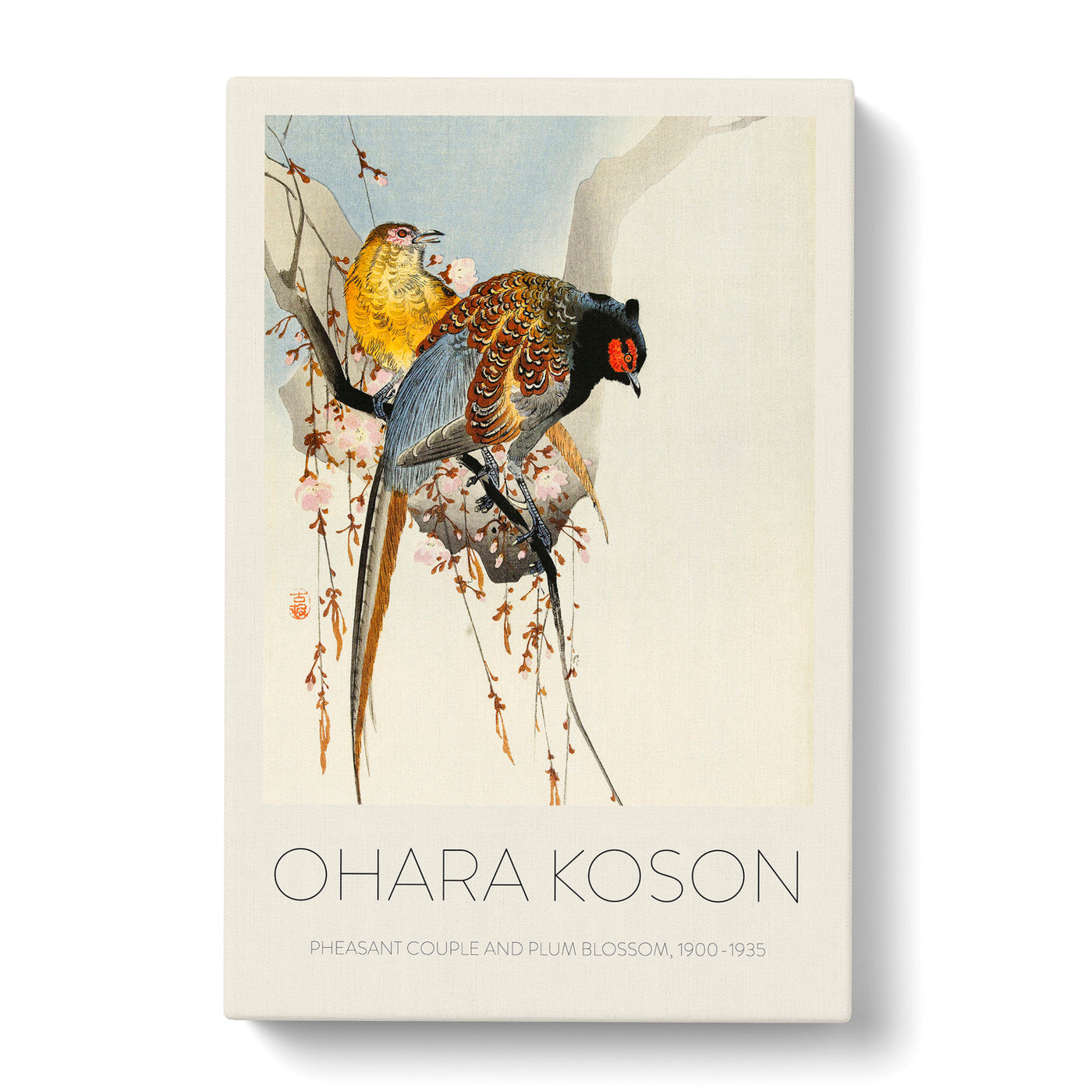 Pheasants Upon A Plum Blossom Tree Print By Ohara Koson Canvas Print Main Image