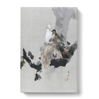 Pigeons In A Tree By Watanabe Seitei Canvas Print Main Image