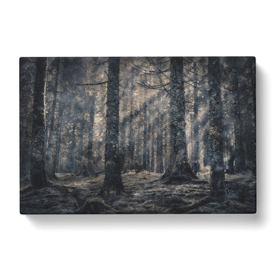 Pine Tree Forest Painting Canvas Print Main Image