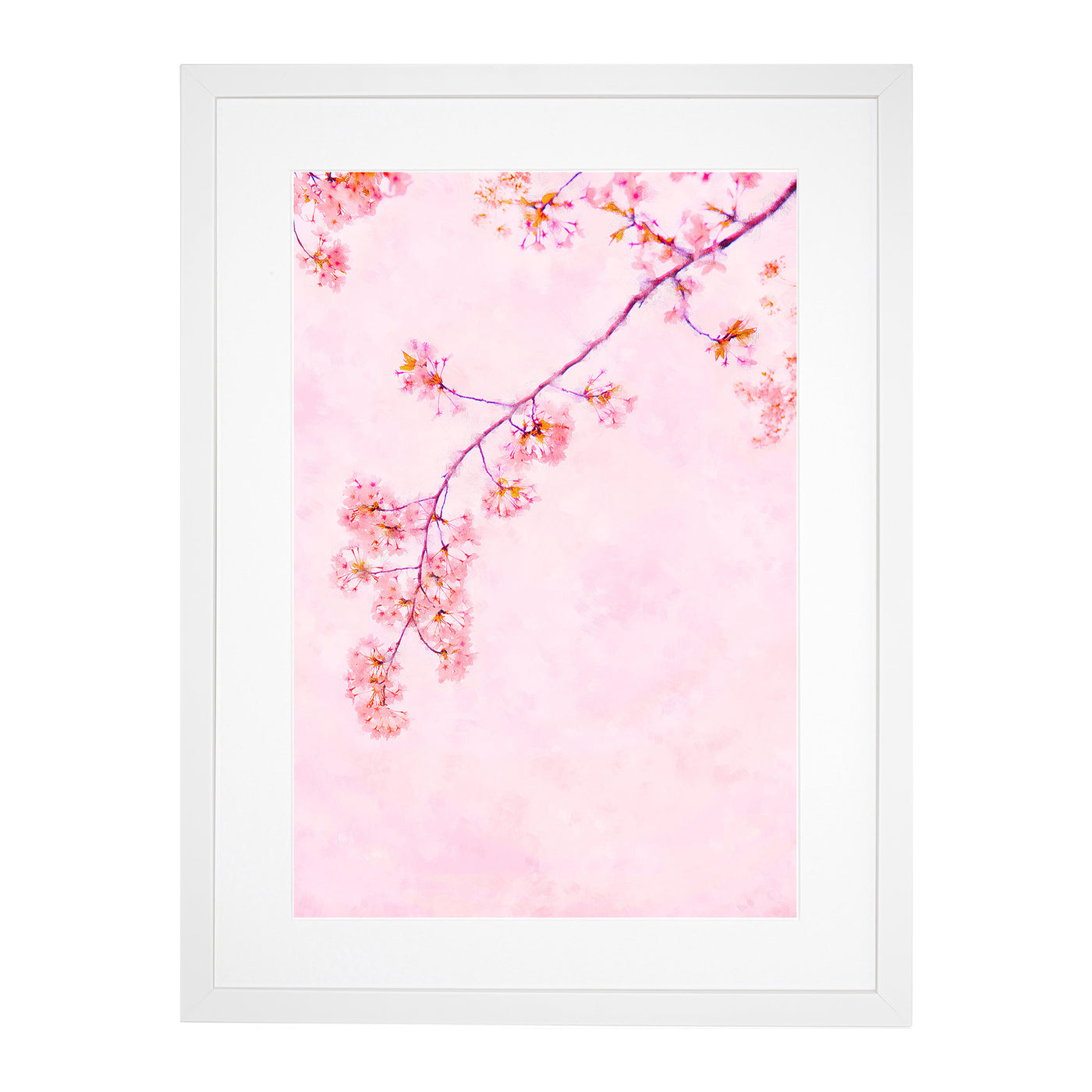 Pink Blossom Cherry Tree