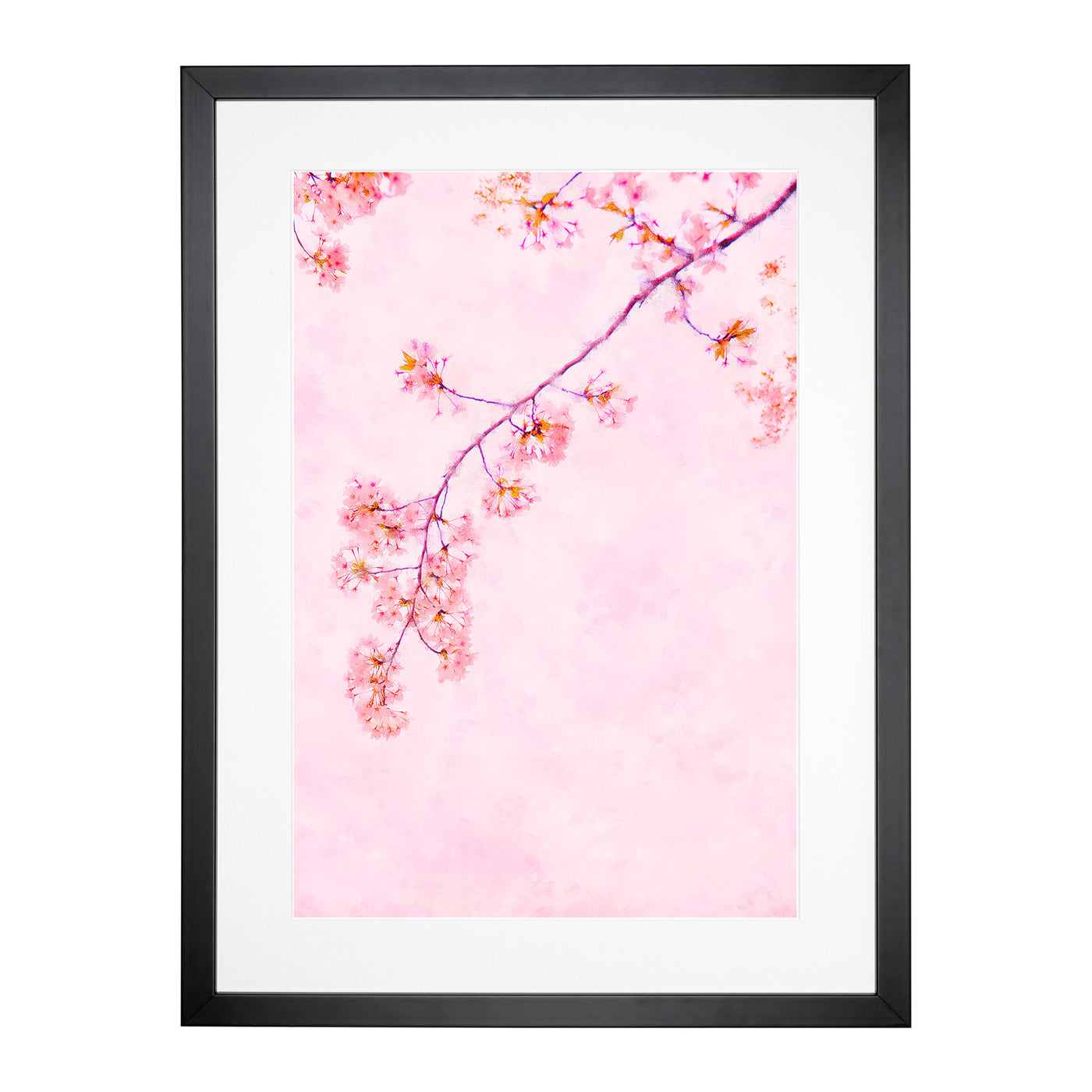 Pink Blossom Cherry Tree