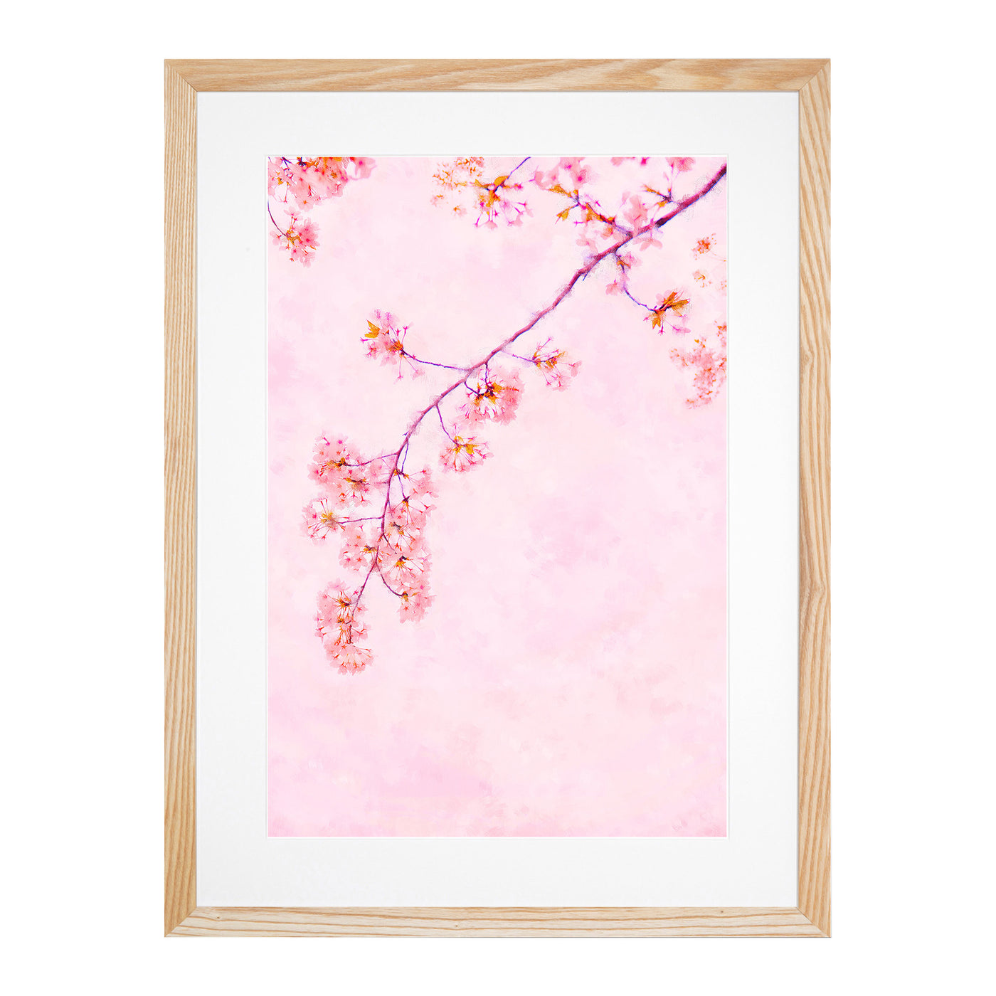 Pink Blossom Cherry Tree