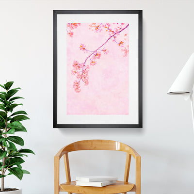 Pink Blossom Cherry Tree