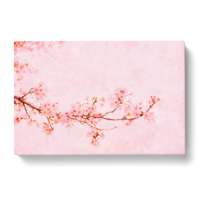 Pink Cherry Blossom Painting Canvas Print Main Image
