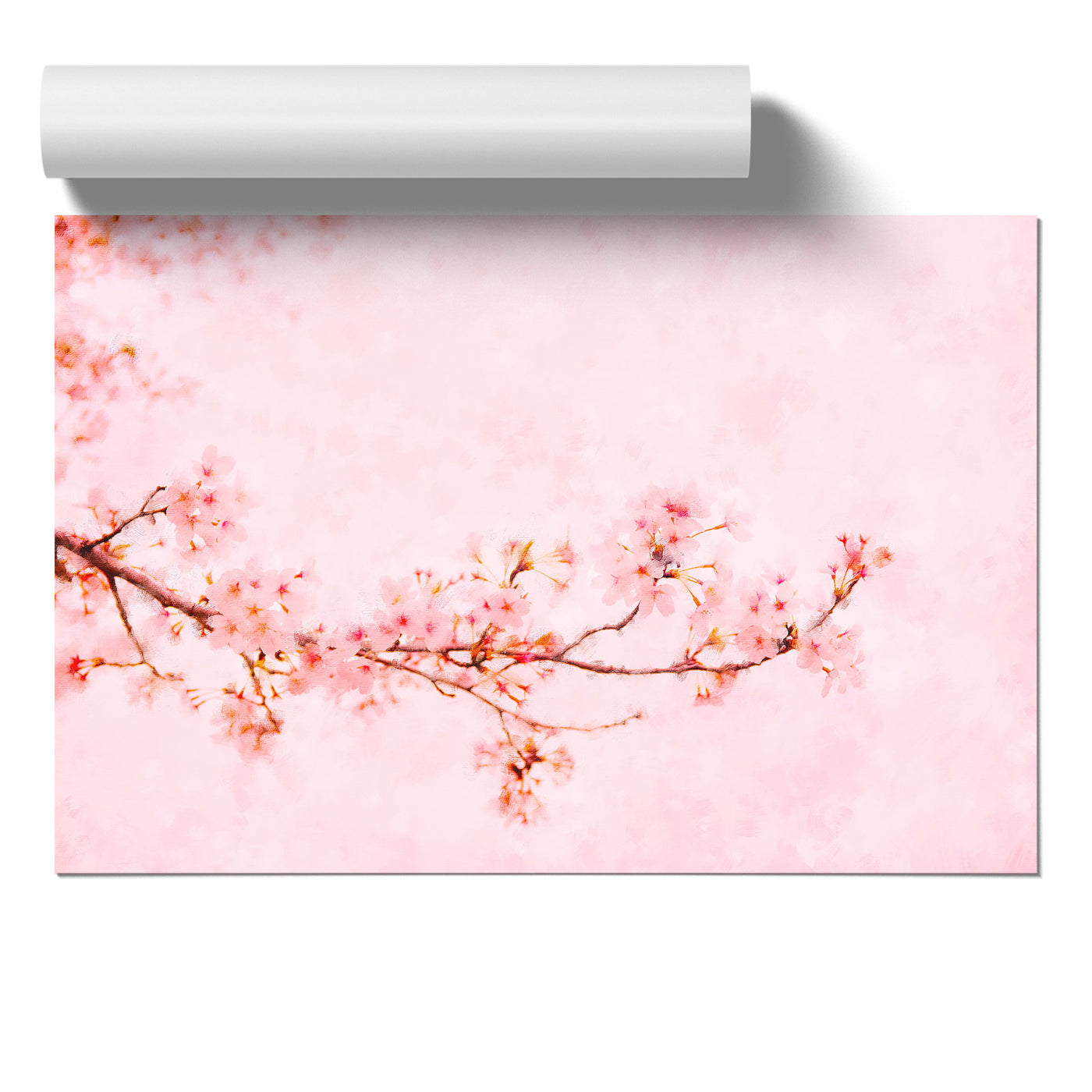 Pink Cherry Blossom