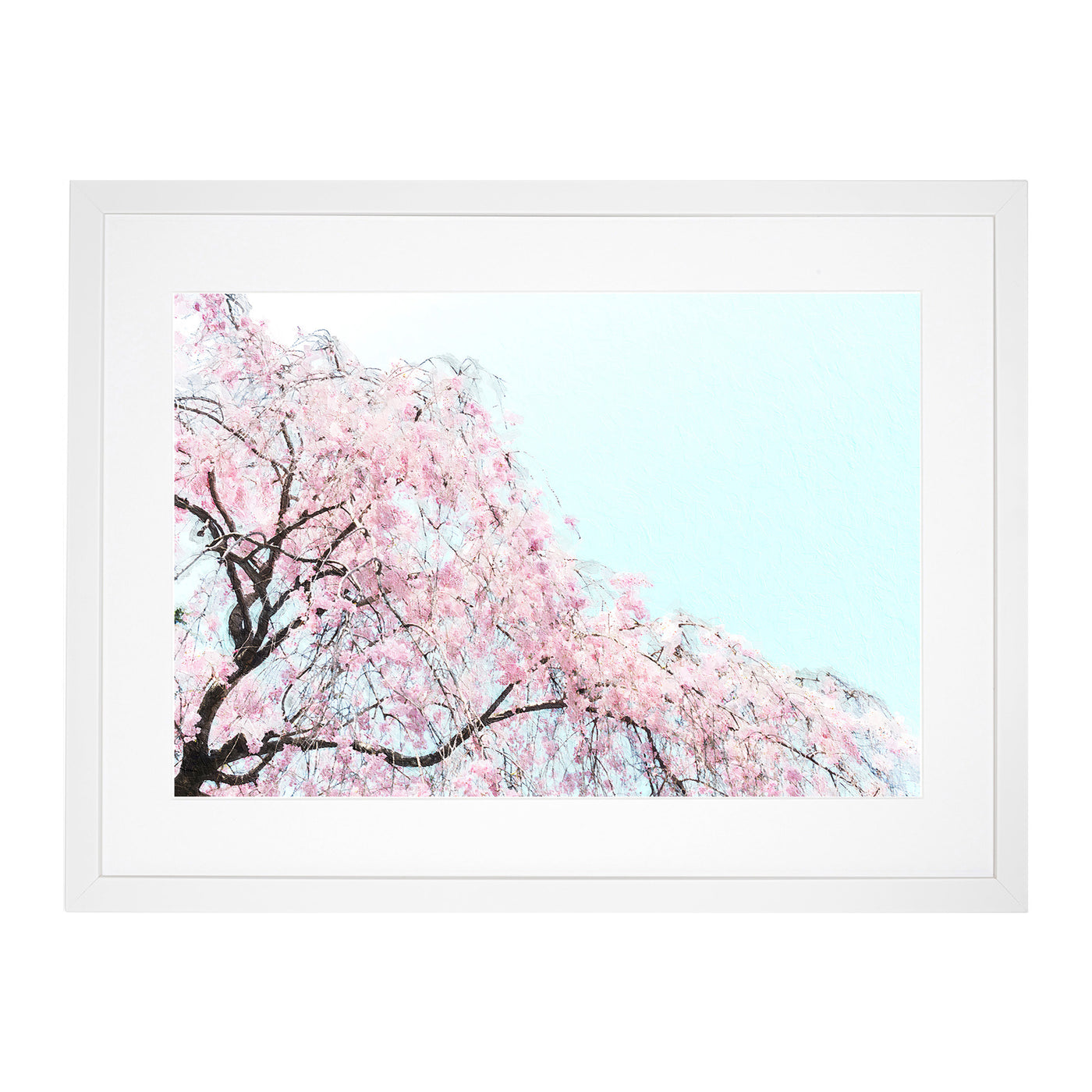 Pink Cherry Blossom Tree