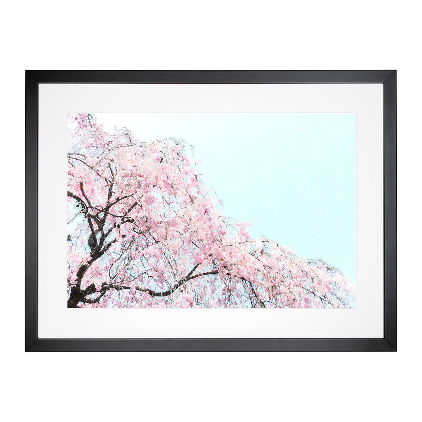 Pink Cherry Blossom Tree