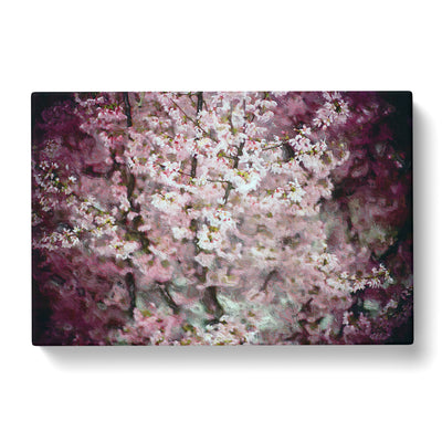 Pink Cherry Blossoms Canvas Print Main Image
