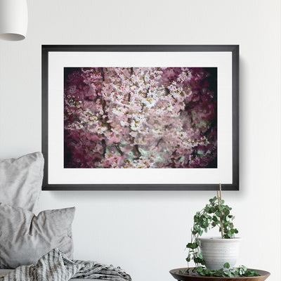 Pink Cherry Blossoms