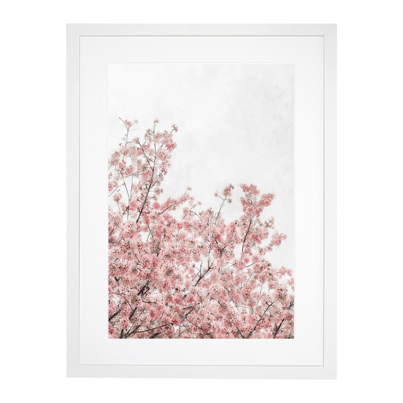 Pink Cherry Tree