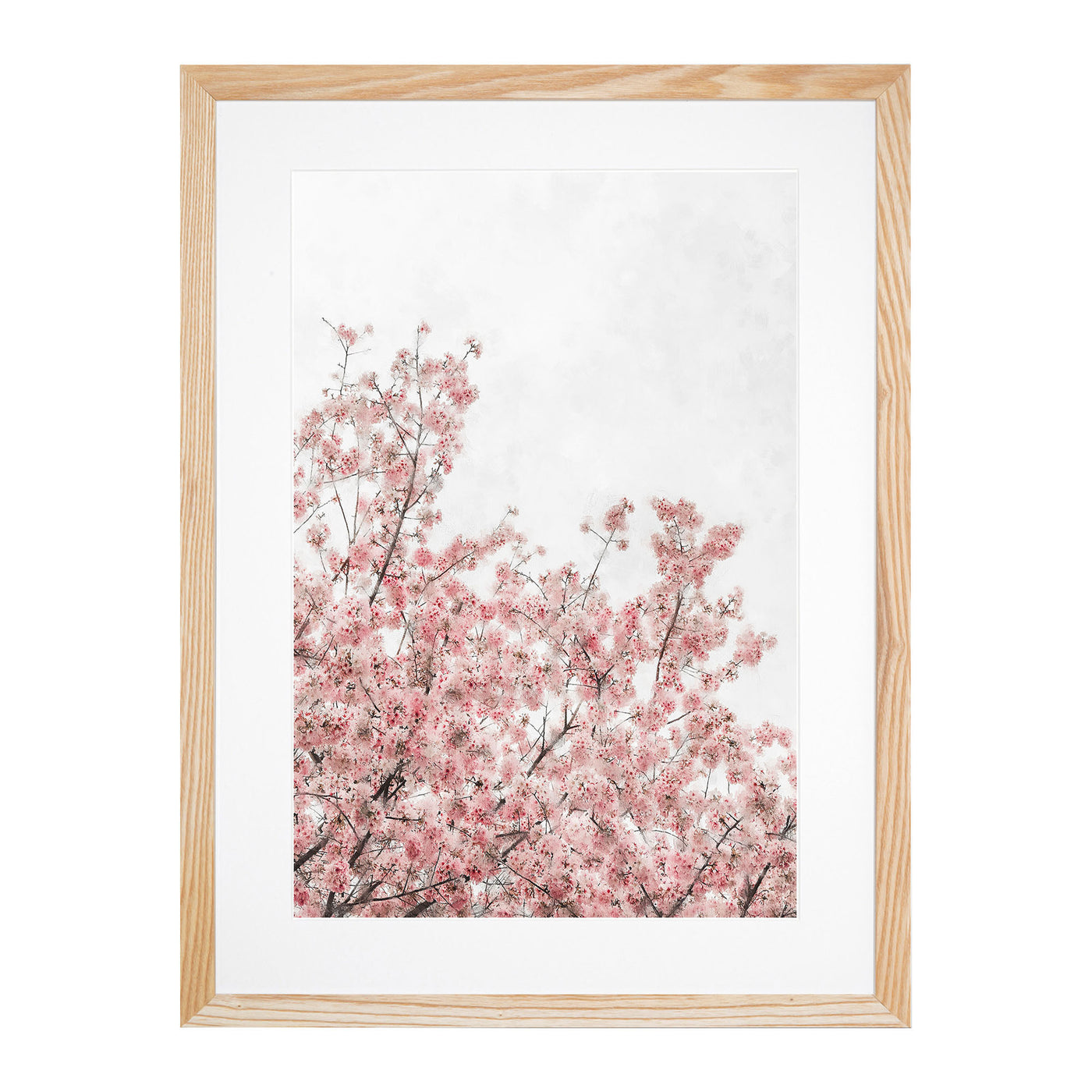 Pink Cherry Tree