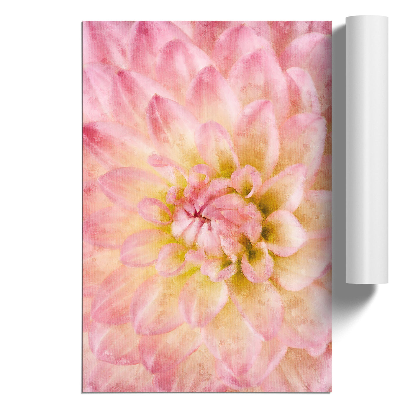 Pink Dahlia Flower Abstract