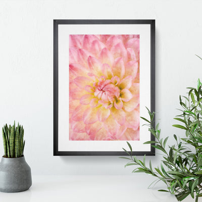 Pink Dahlia Flower Abstract