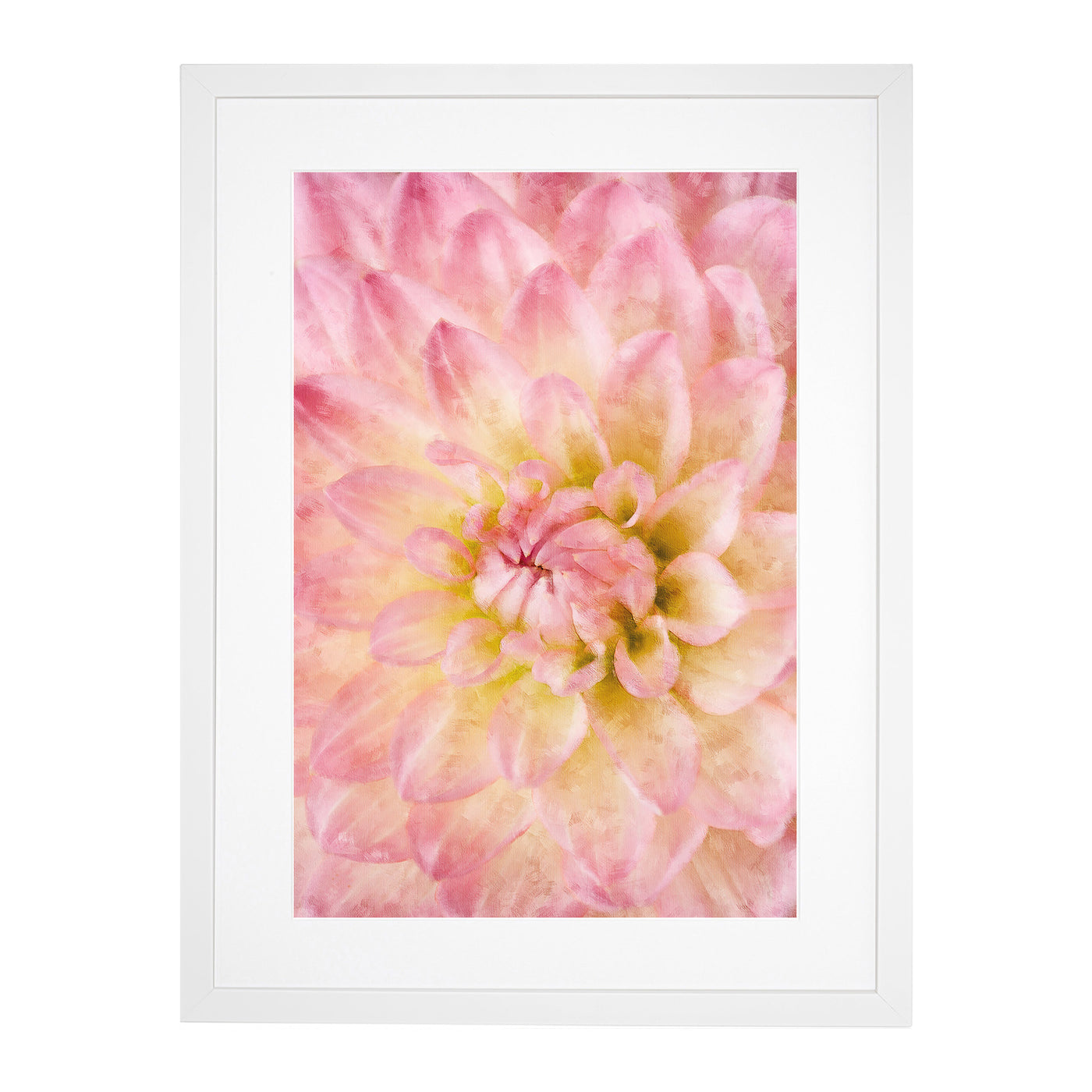 Pink Dahlia Flower Abstract