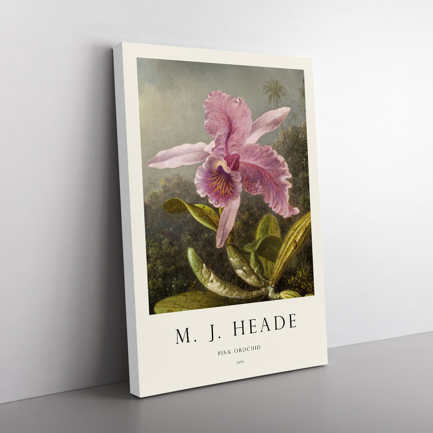Pink Orchids Print By Martin Johnson Heade