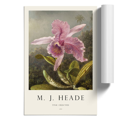 Pink Orchids Print By Martin Johnson Heade