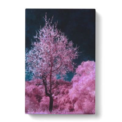 Pink Trees In Malaga Spain Painting Canvas Print Main Image